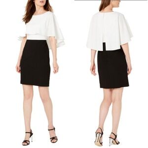 CALVIN KLEIN Color-blocked Popover Dress - SZ 8 | NWOT | MSRP $